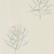 Sanderson Tapet Protea Flower Russet/Green