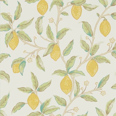 William Morris & Co Tapet Lemon Tree Bay Leaf