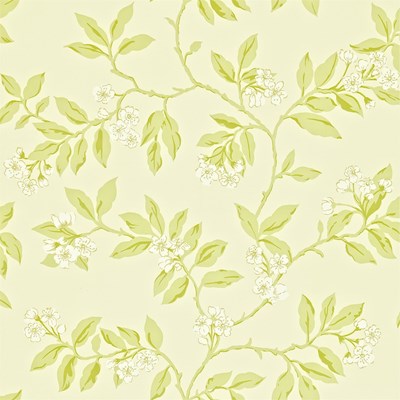 Sanderson Tapet Blossom Bough Cream/Sage
