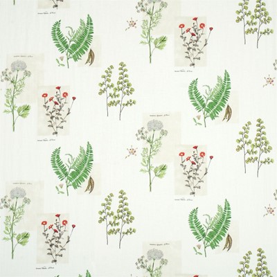 Sanderson Tyg Parchment Flowers Emerald/White